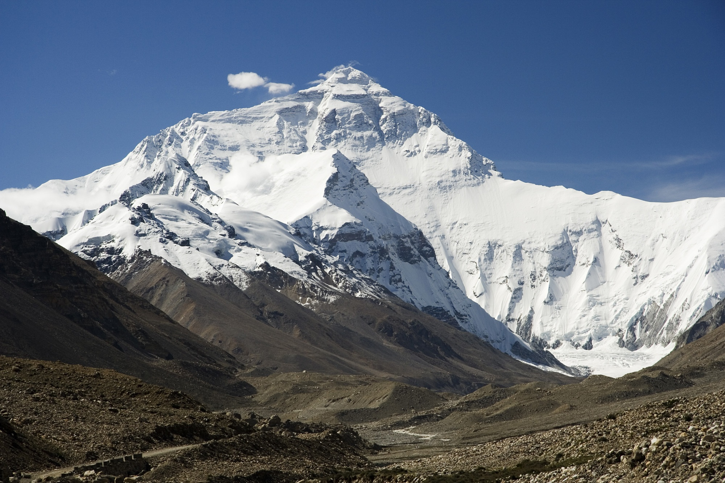 pothana (4).webp